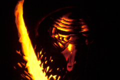Kylo 2015